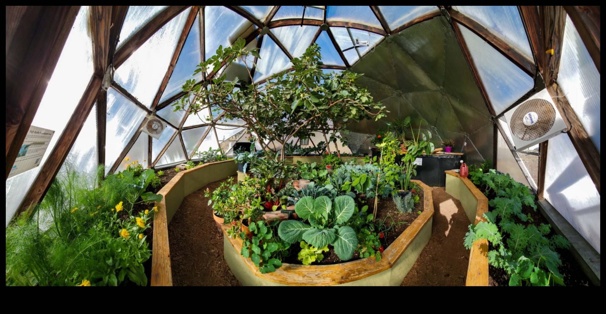 Breathe Life into Your Space: The Greenhouse Experience