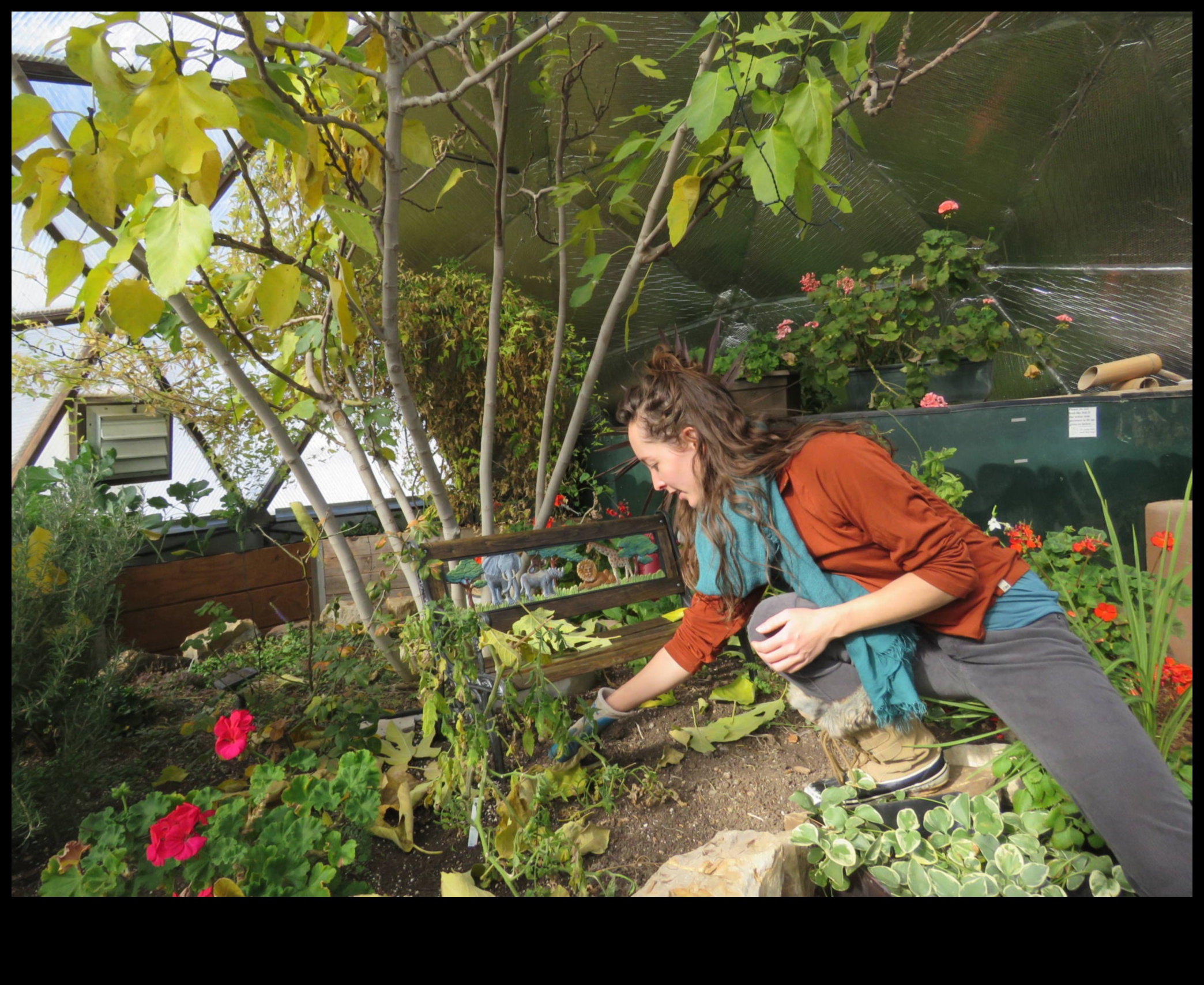 Breathe Life into Your Space: The Greenhouse Experience