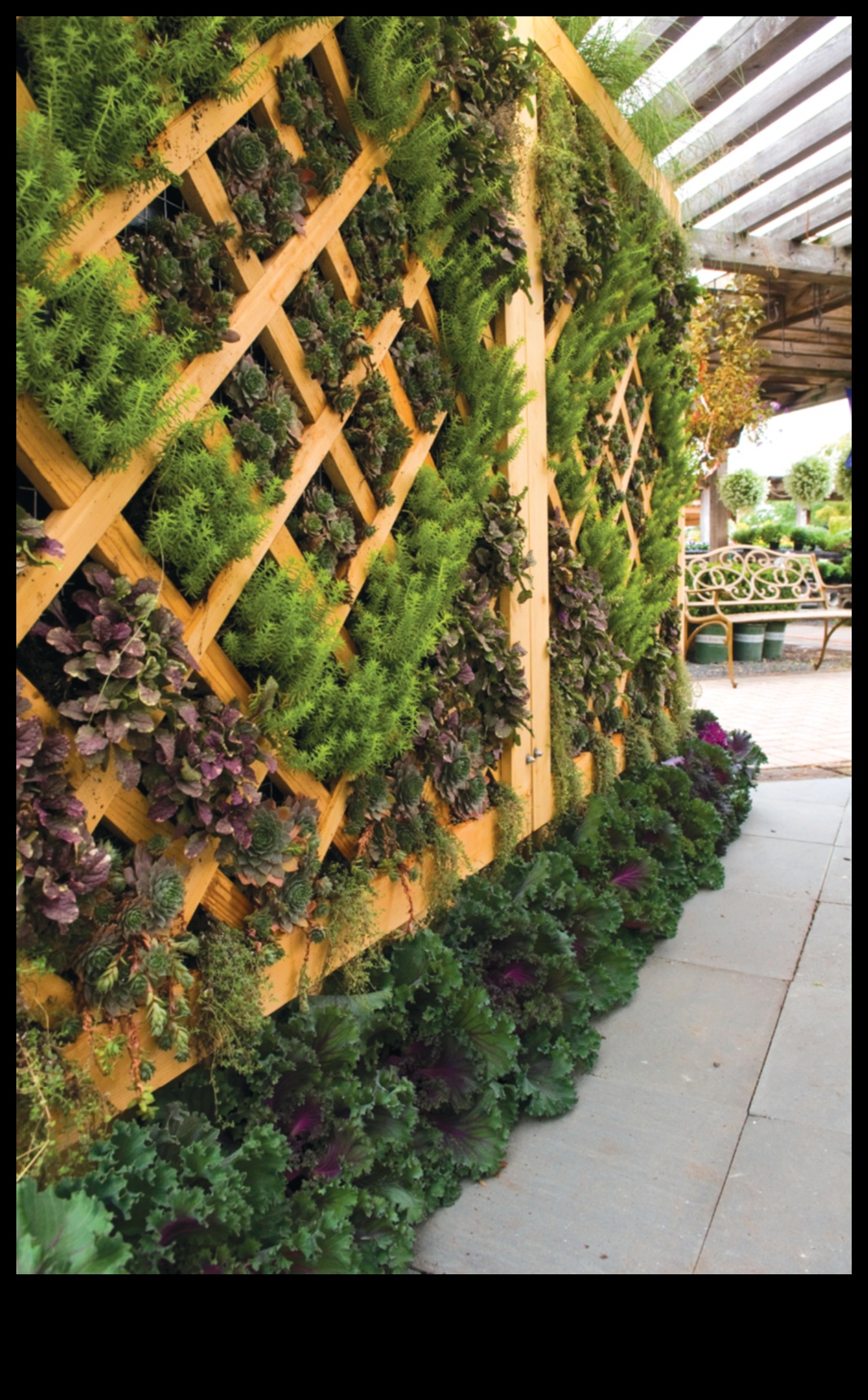 Breathe Life into Your Space: The Greenhouse Experience