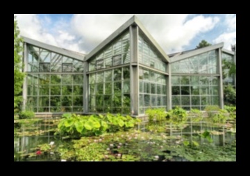 Breathtaking Backdrops: Greenhouse Wonders Await