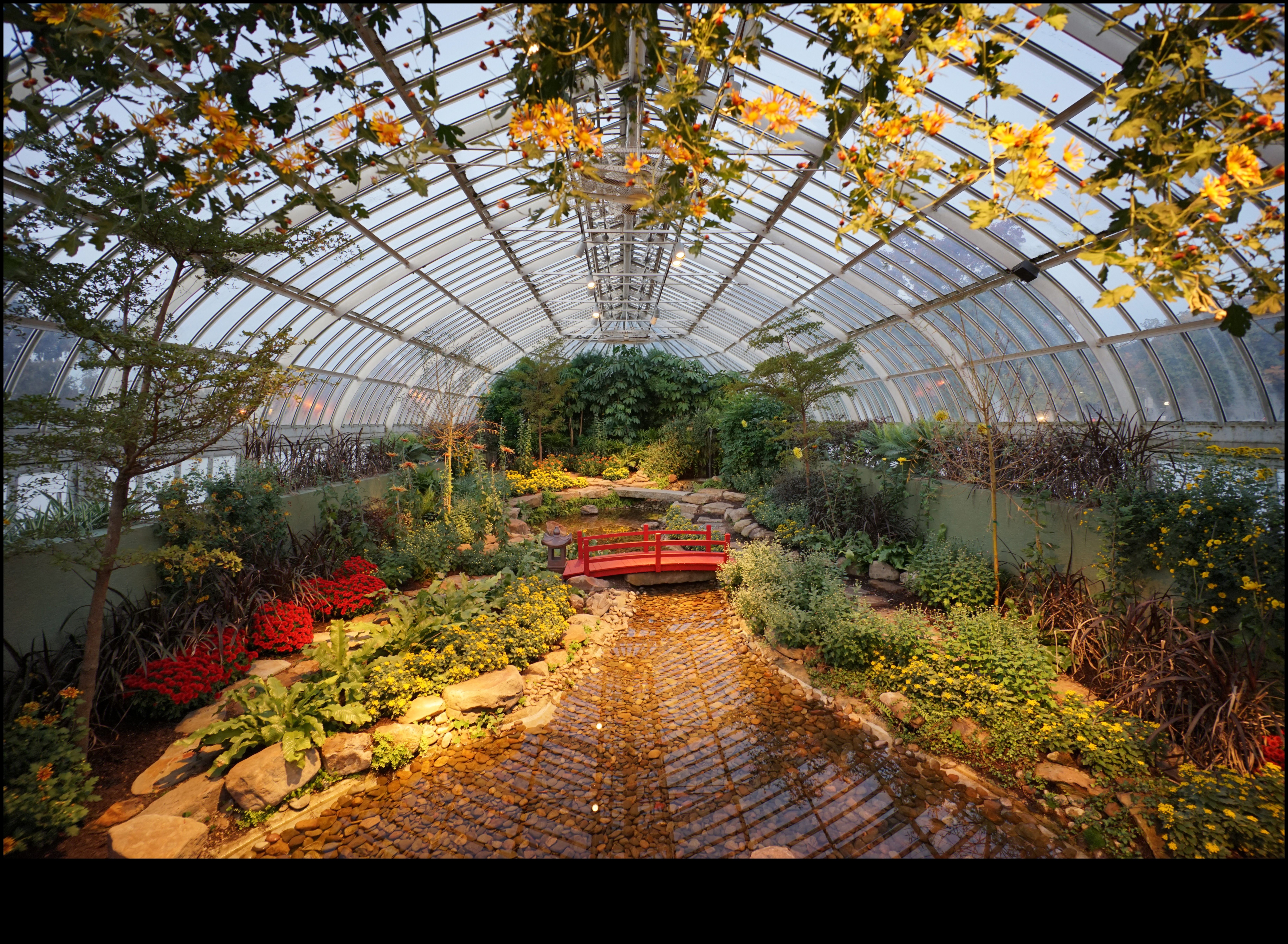 Breathtaking Backdrops: Greenhouse Wonders Await