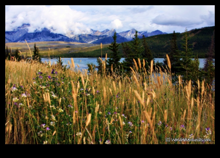 In the Heart of Nature: Breathtaking Landscape Images