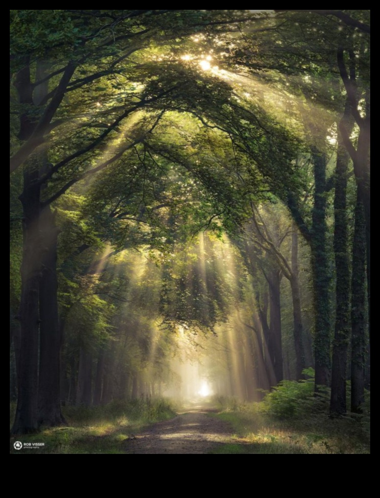 Nature's Overture: A Melodic Collection of Breathtaking Landscapes Unveiled