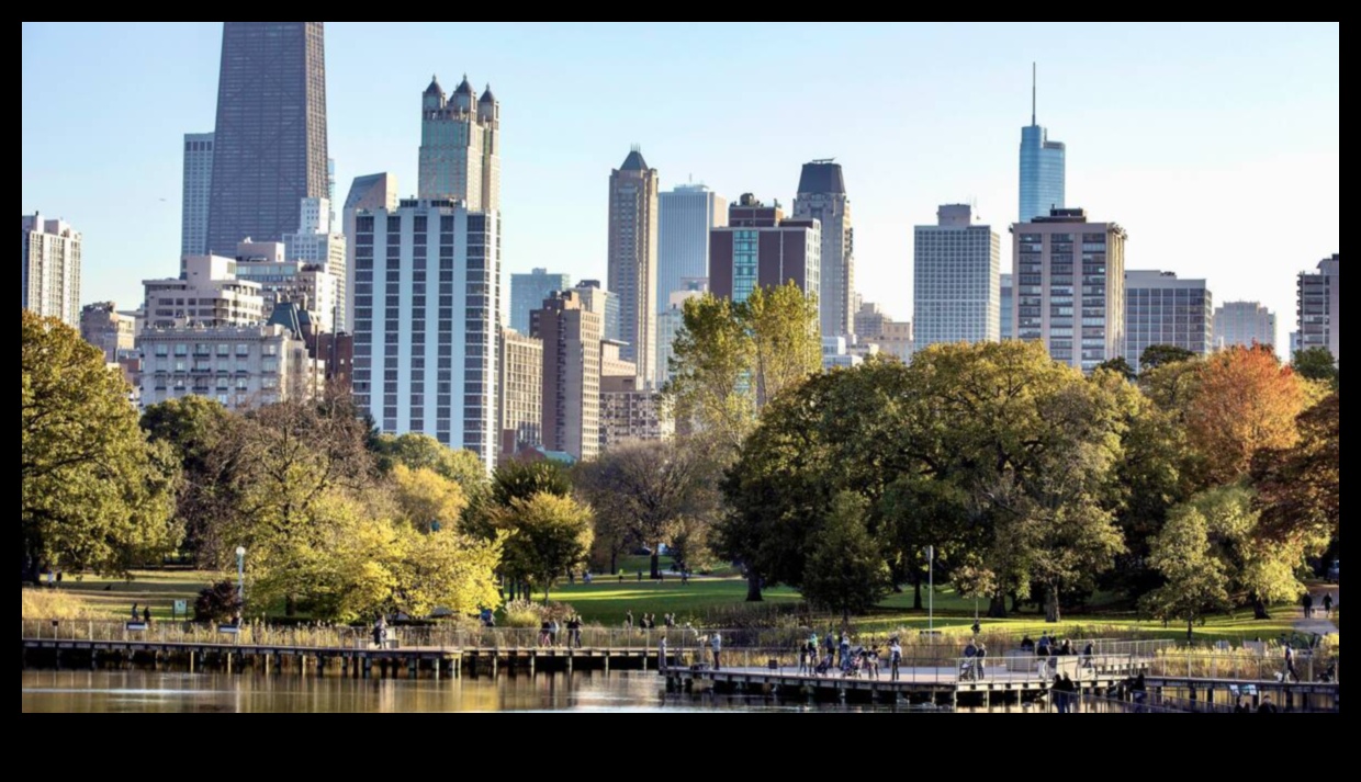 Bridges and Skylines: Urban Landscapes in Transition