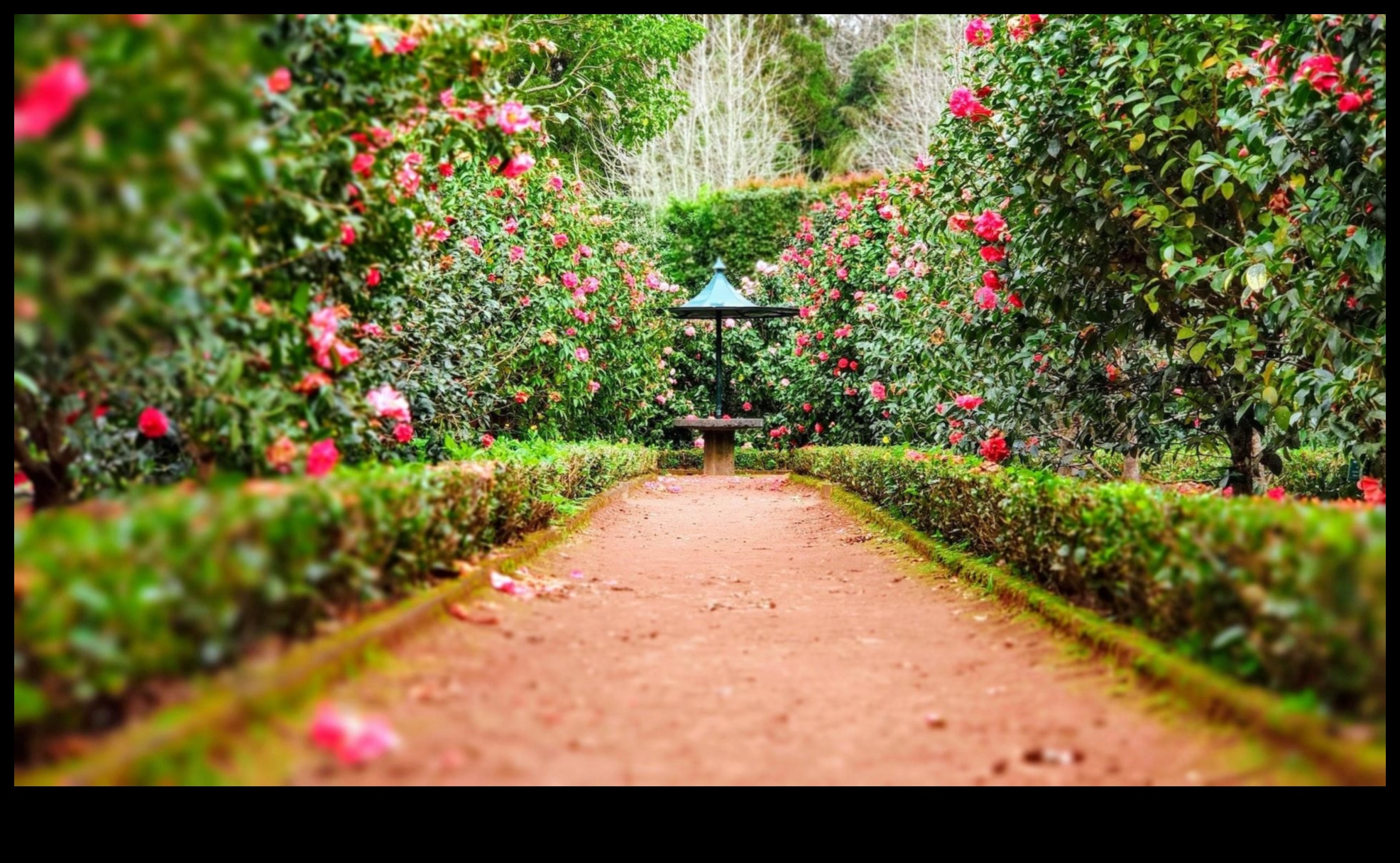 Artistic Harmony: Elevate Your Garden with Chic Accents