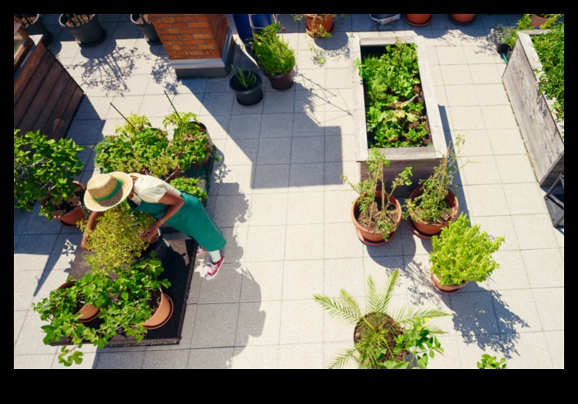 Pocket-Sized Greenery: The Joy of Indoor Gardening