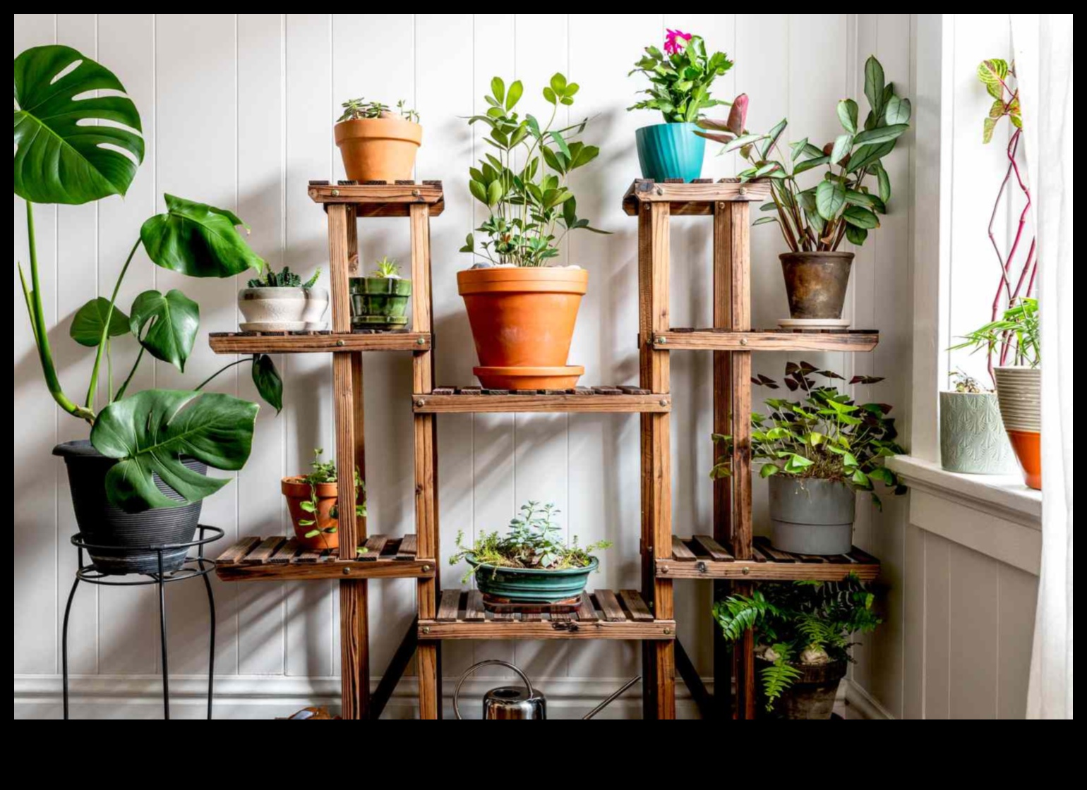 Bring the Outdoors In: Essential Indoor Gardening Tips