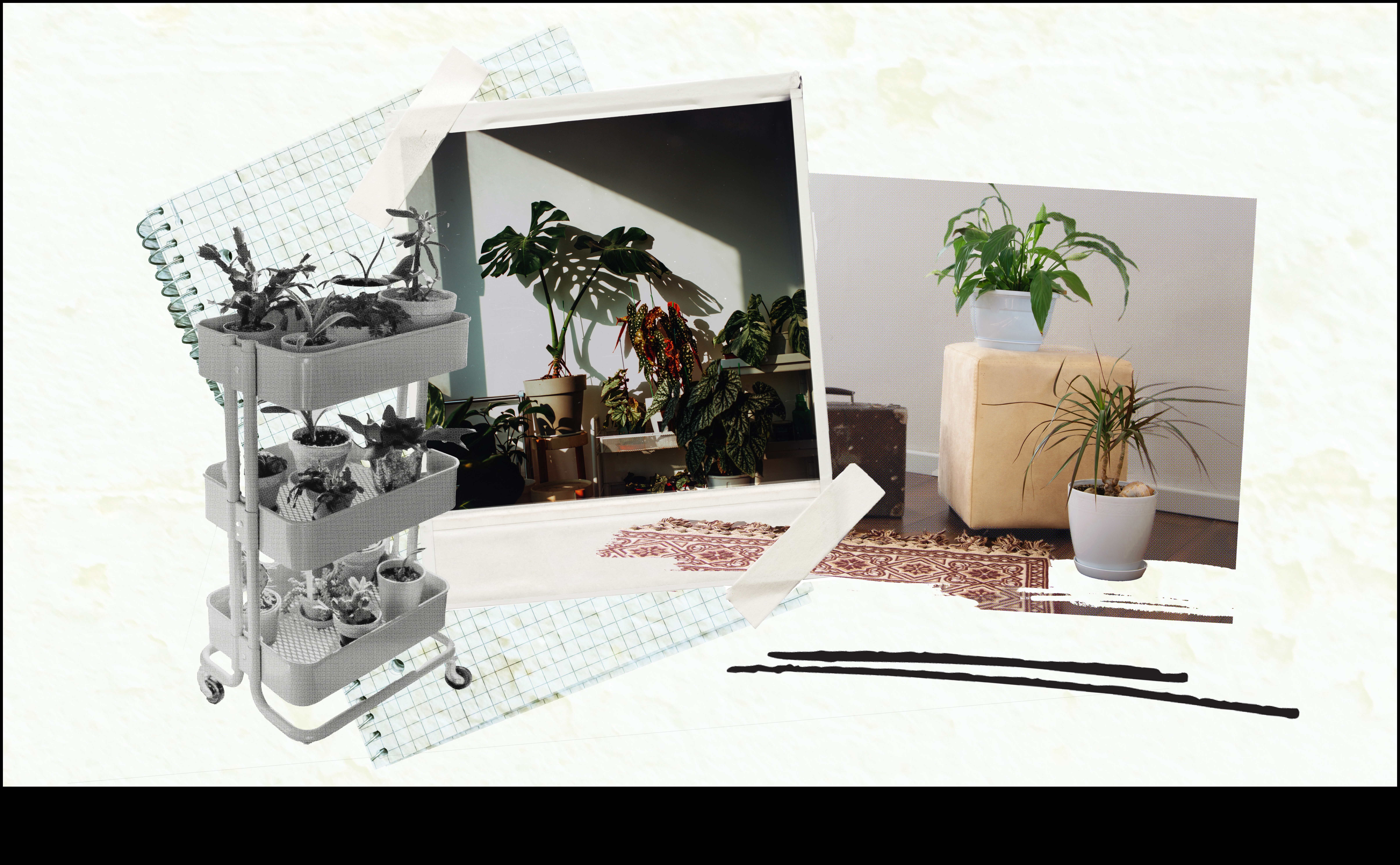 Bring the Outdoors In: Essential Tips for Indoor Gardening