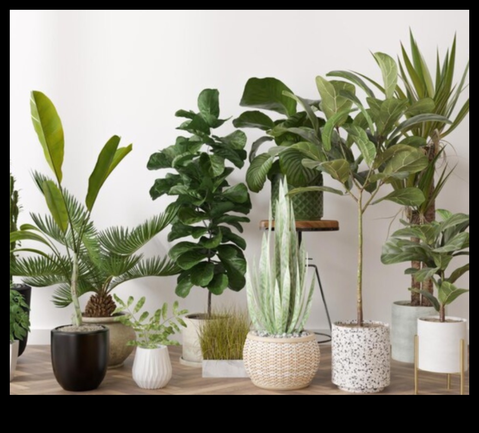 Houseplant Harmony: Indoor Gardening for Tranquil Living