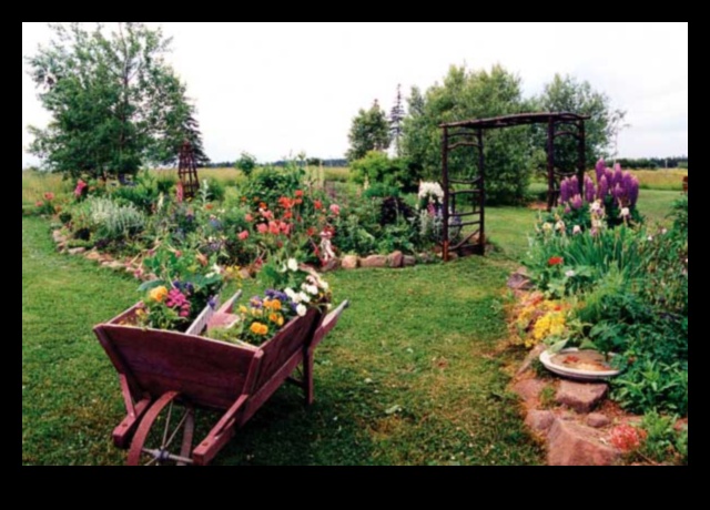 Bring the Pastoral to Your Cottage Garden 1
