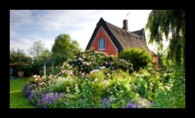 Pastoral Beauty: Nurturing Blooms in Cozy Cottage Gardens