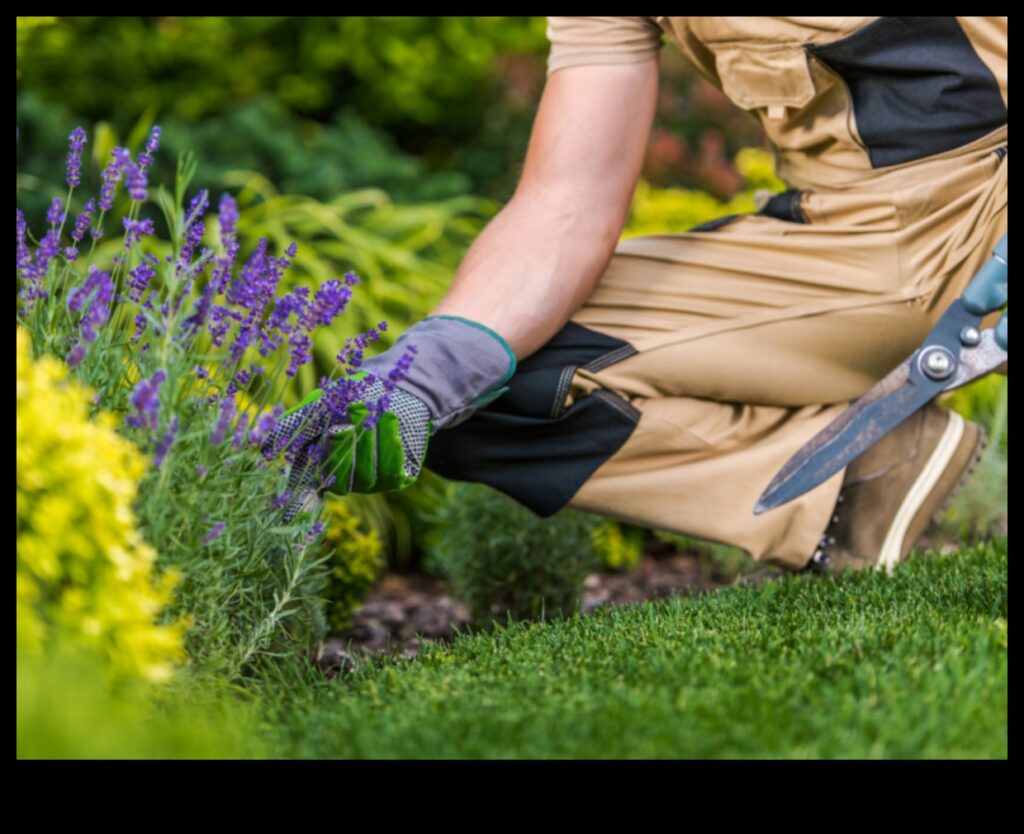 Budding Beauty Cultivating Timeless Elegance in Garden Maintenance 1