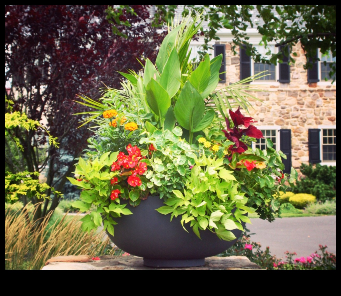 Budding Beauty: The Art and Science of Container Gardening