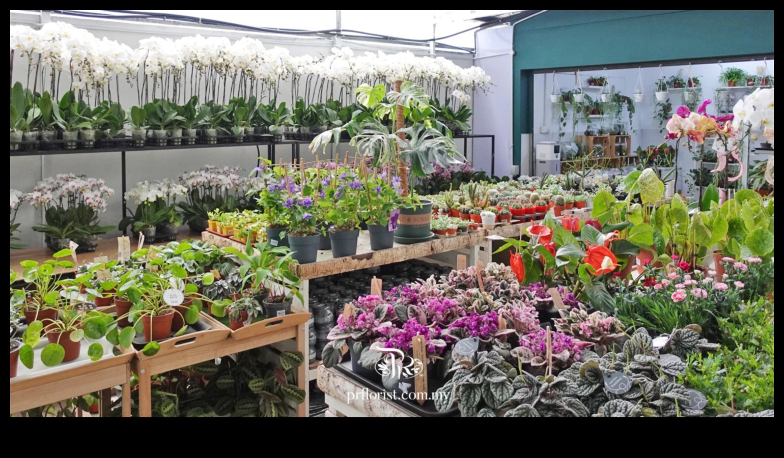 Budding Innovators: Flourish in the World of Garden Workshops