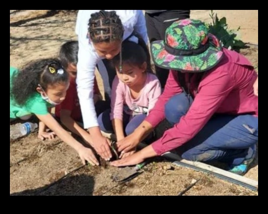 Budding Scholars: Growing Minds through Garden Education