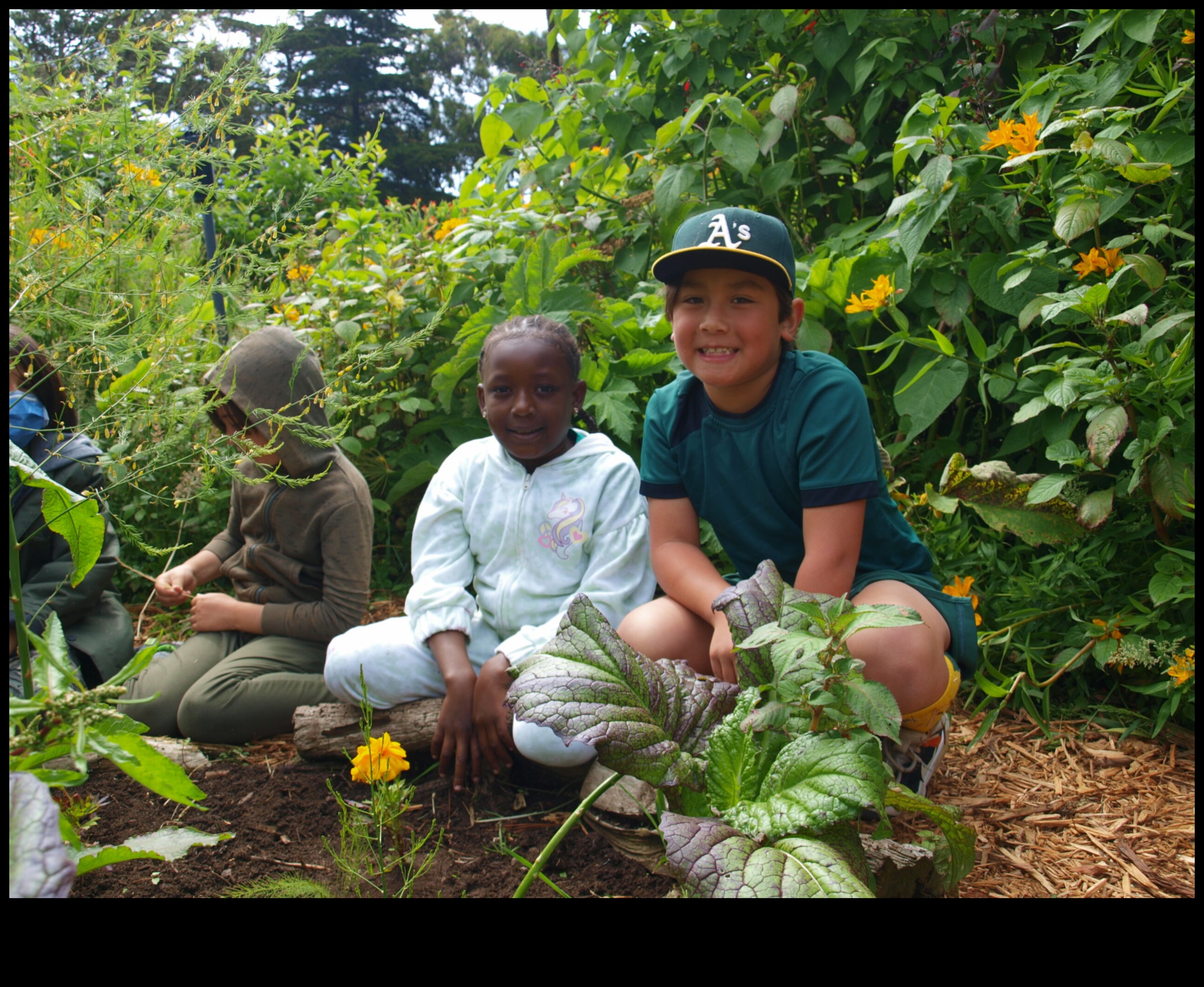Budding Scholars: Growing Minds through Garden Education