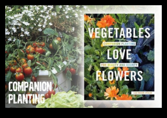 Buddy Blooms: Enhance Your Garden with Companion Planting