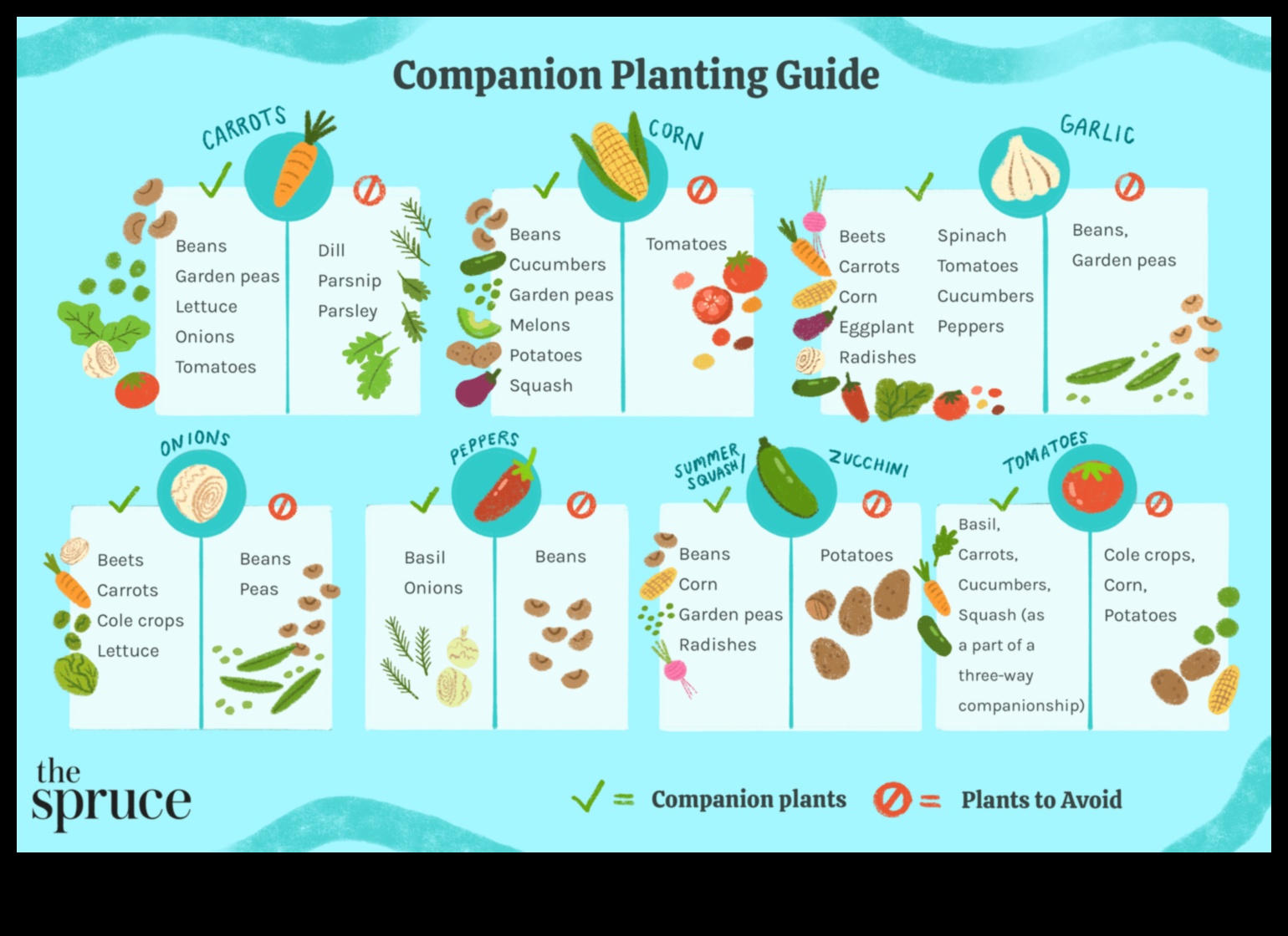 Buddy Blooms: Enhance Your Garden with Companion Planting