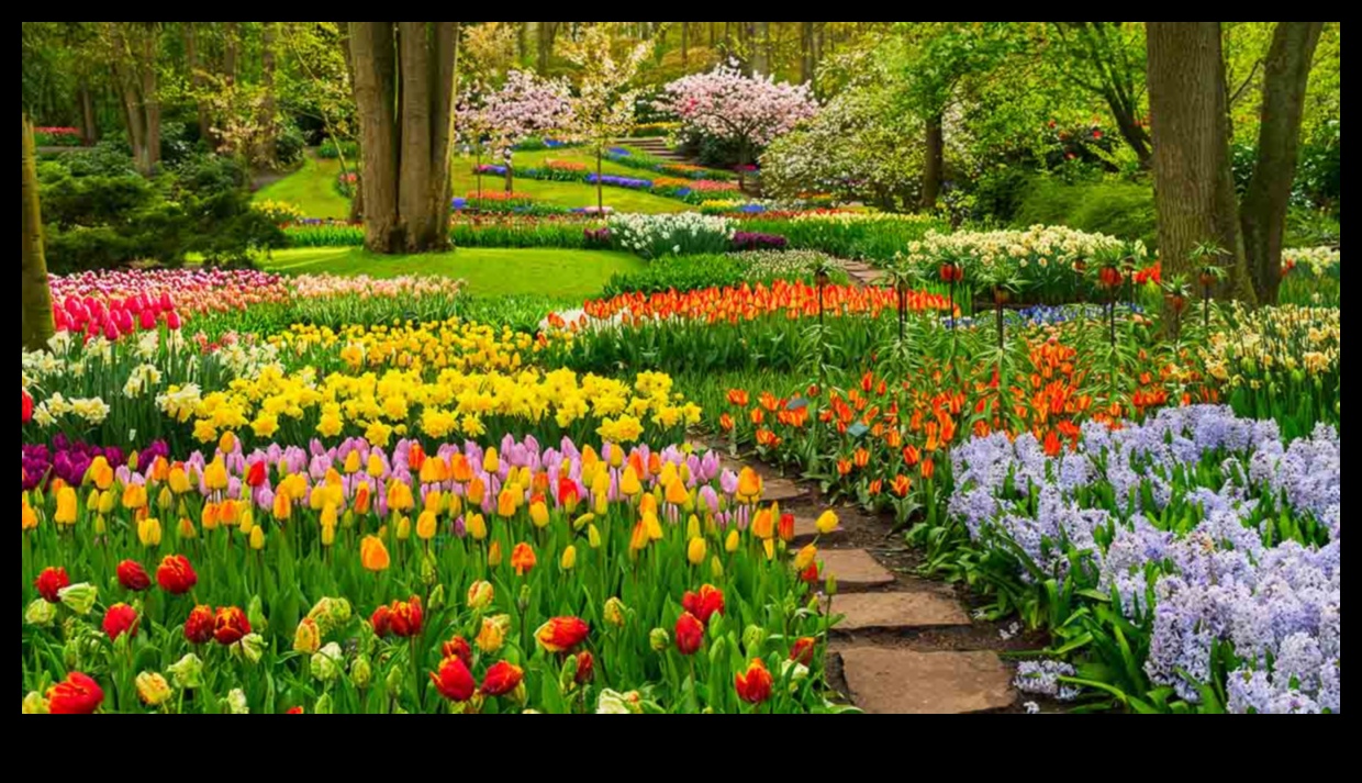 Buddy Blooms: Enhance Your Garden with Companion Planting