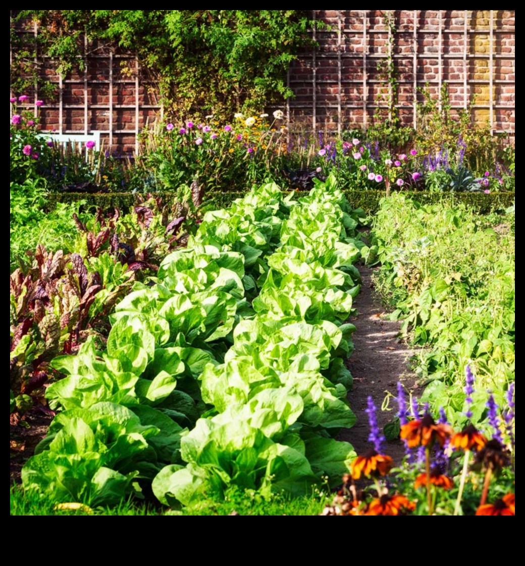 Buddy Blooms: Enhance Your Garden with Companion Planting