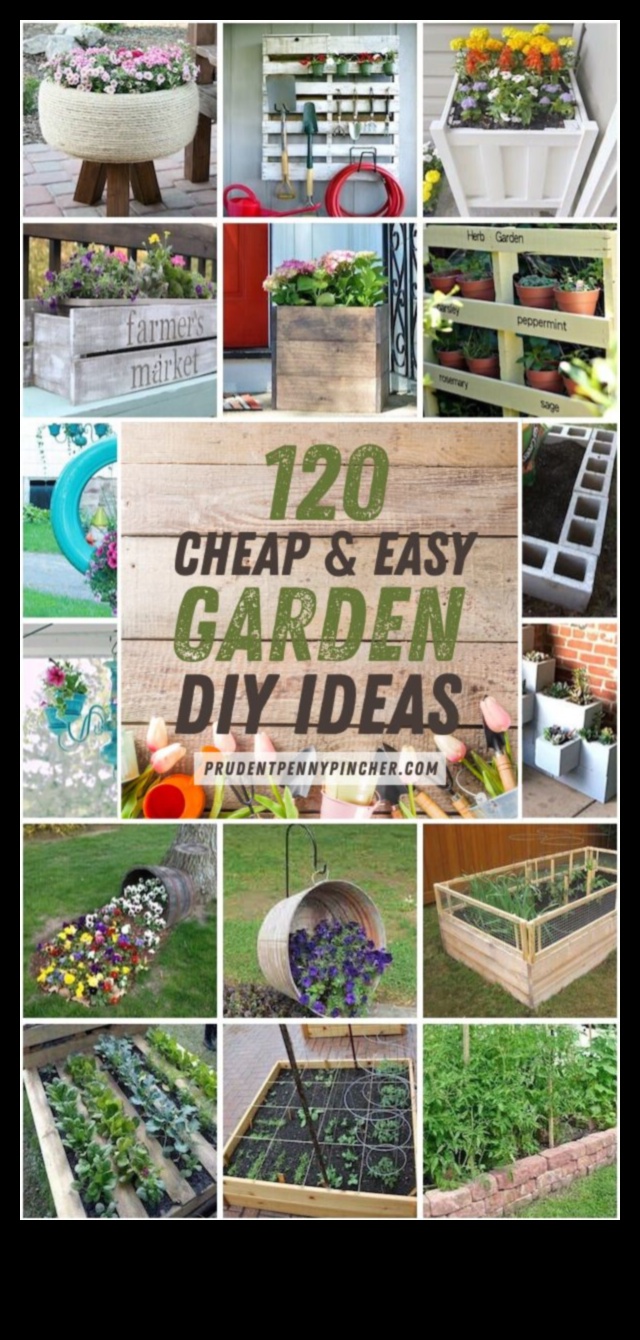 Budget-Friendly Blooms 10 DIY Garden Projects That Will Wow Your Neighbors 2 Budget-Friendly Blooms: DIY Garden Projects That Shine