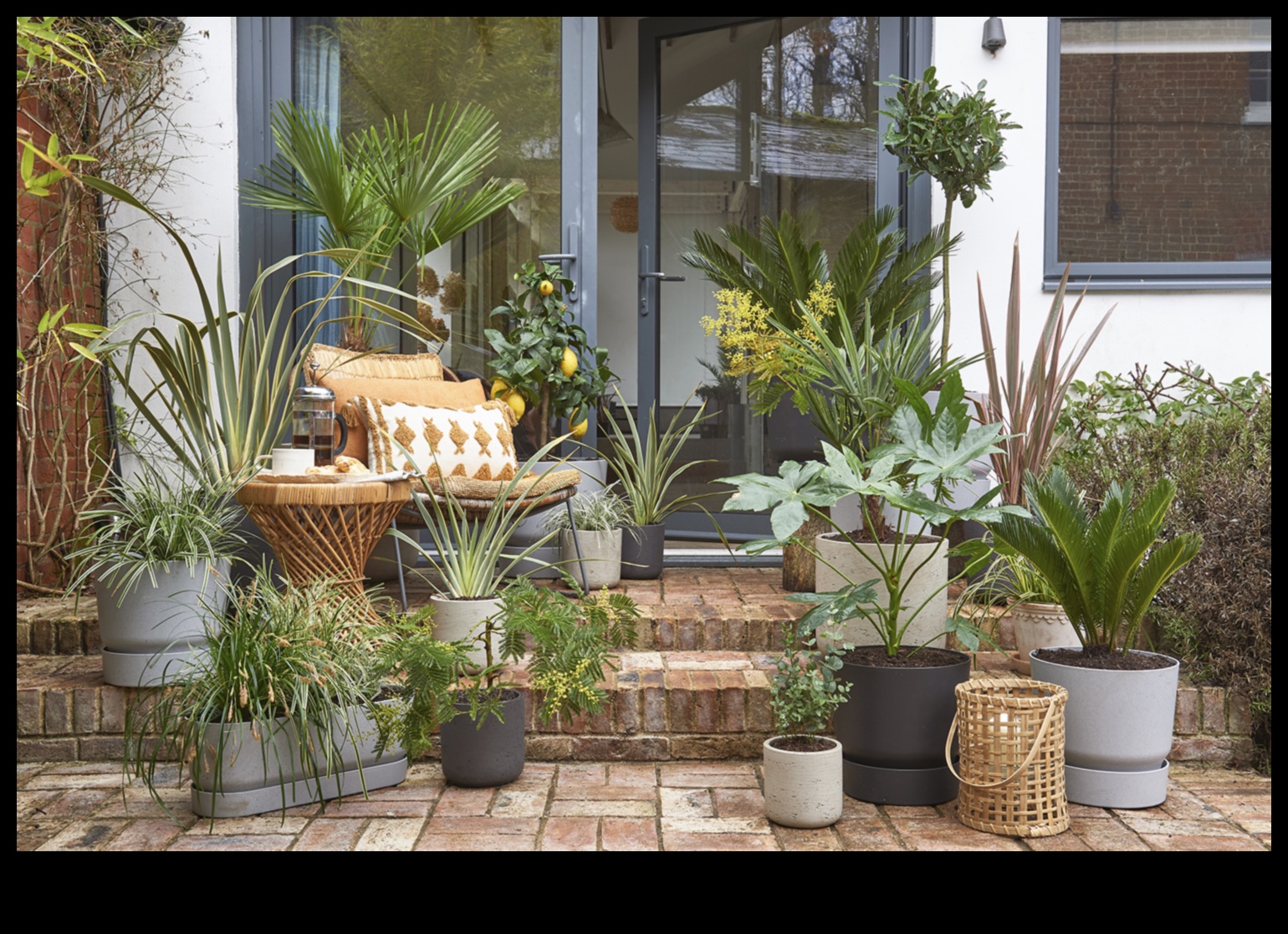 Budget-Friendly Blooms 10 DIY Garden Projects That Will Wow Your Neighbors 3 Budget-Friendly Blooms: DIY Garden Projects That Shine