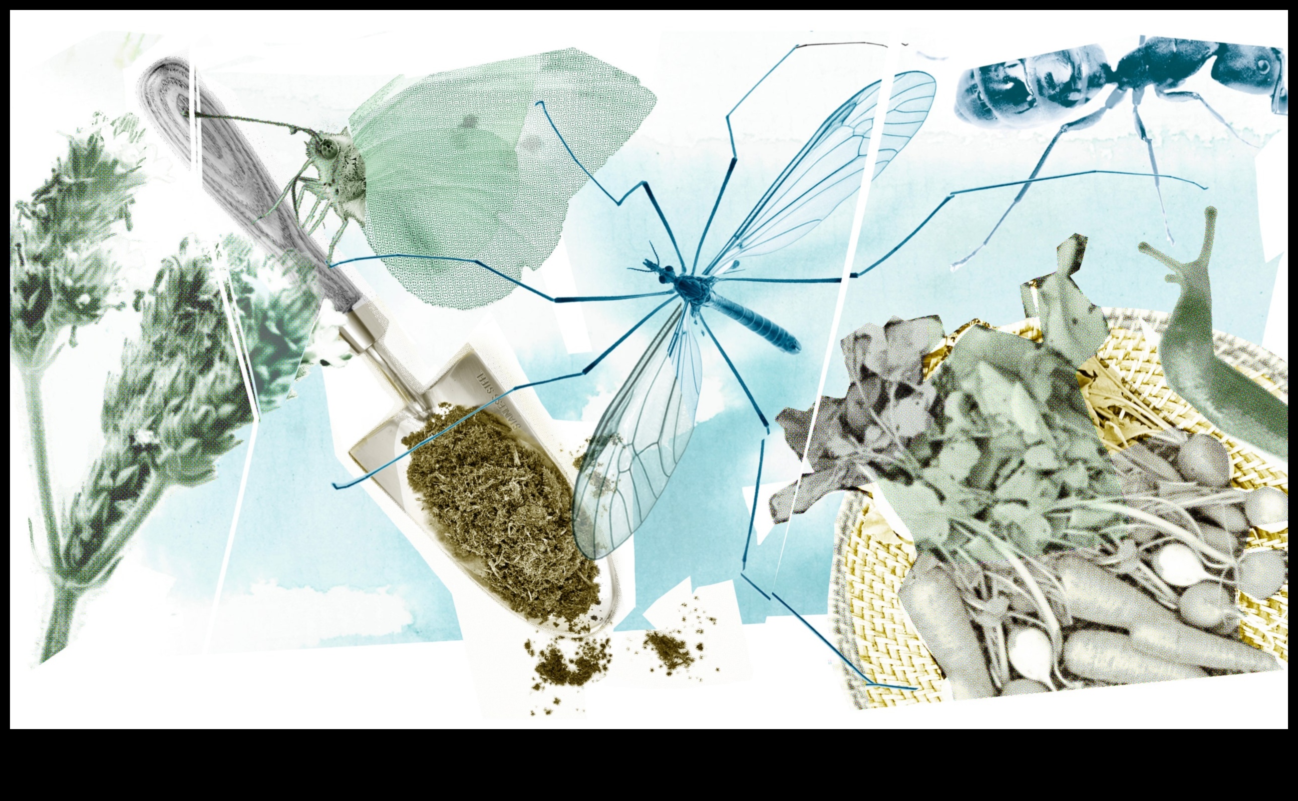 Bugging Out? Tackle Garden Pests with Ease