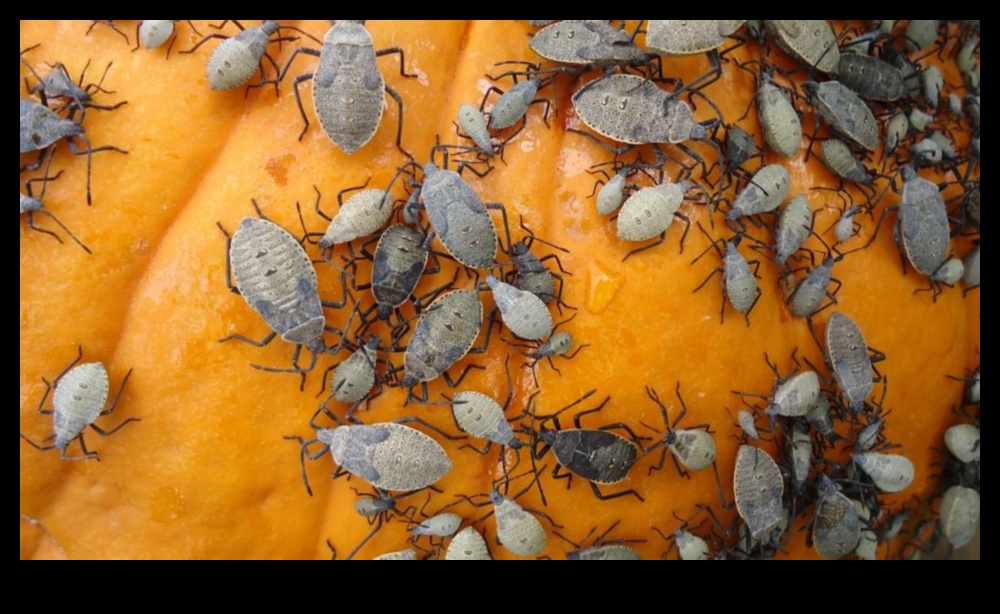 Bugging Out? Tackle Garden Pests with Ease