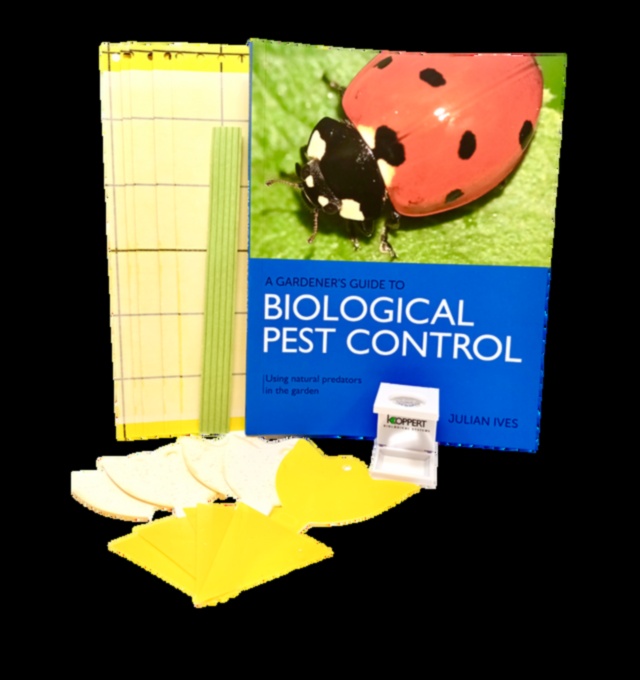 Bugs, Back Off! A Gardener's Blueprint for Pest Control