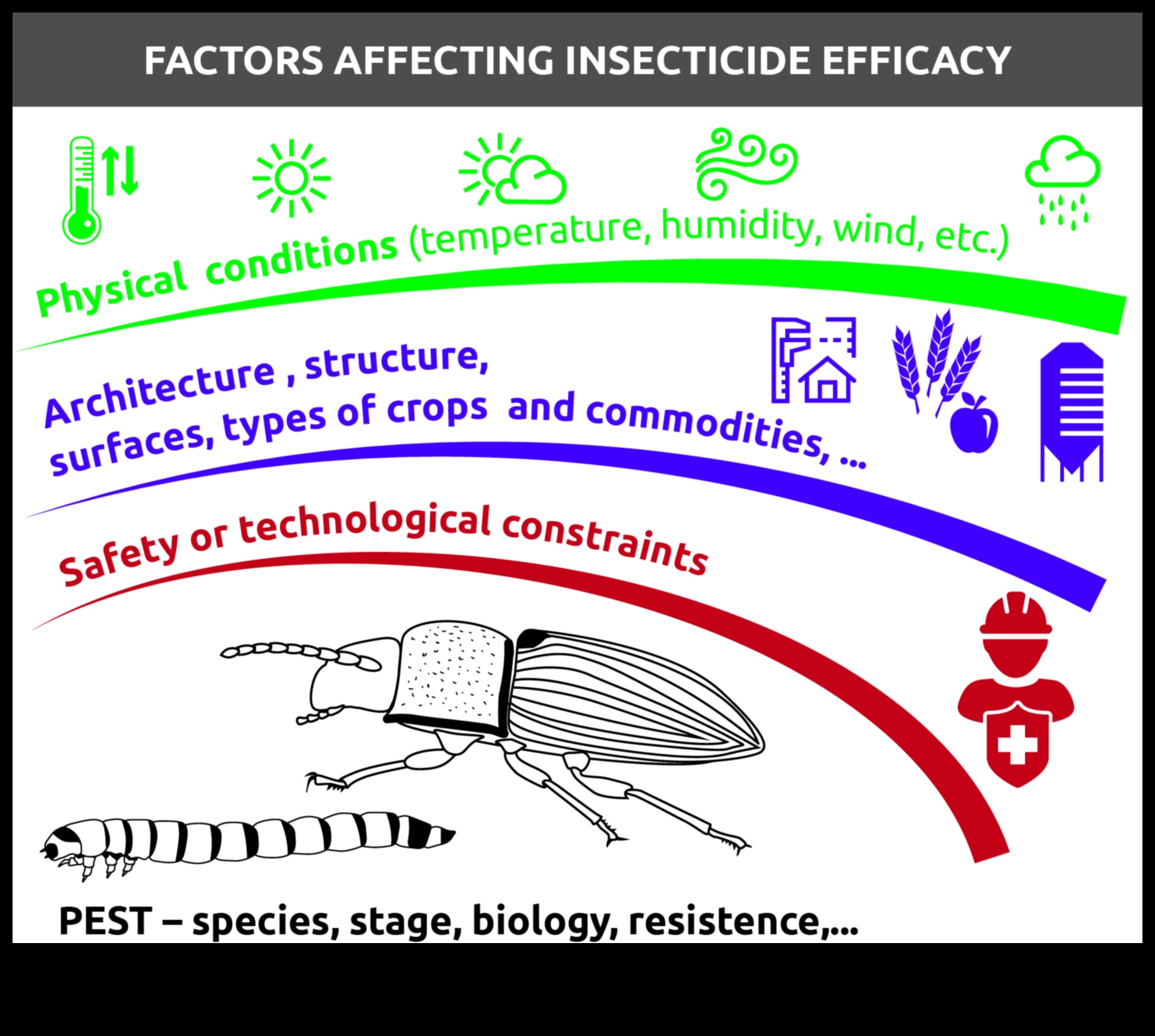 Bugs, Begone! Mastering the Art of Garden Pest Control
