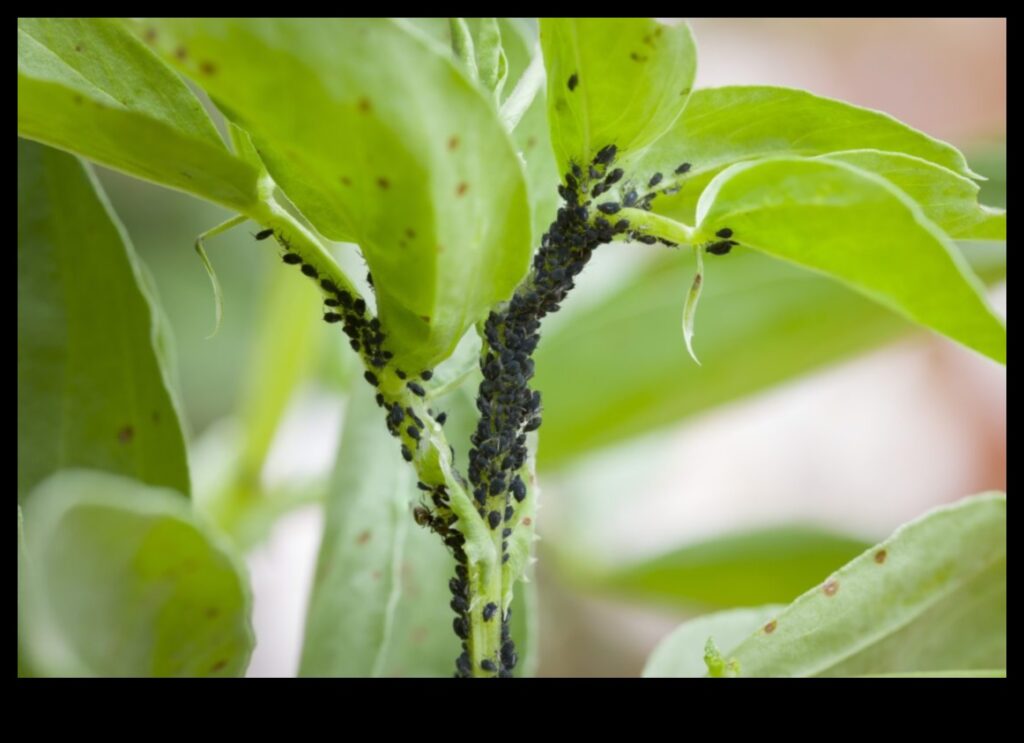 Bugs, Begone! A Guide to Safe and Effective Garden Pest Management 1