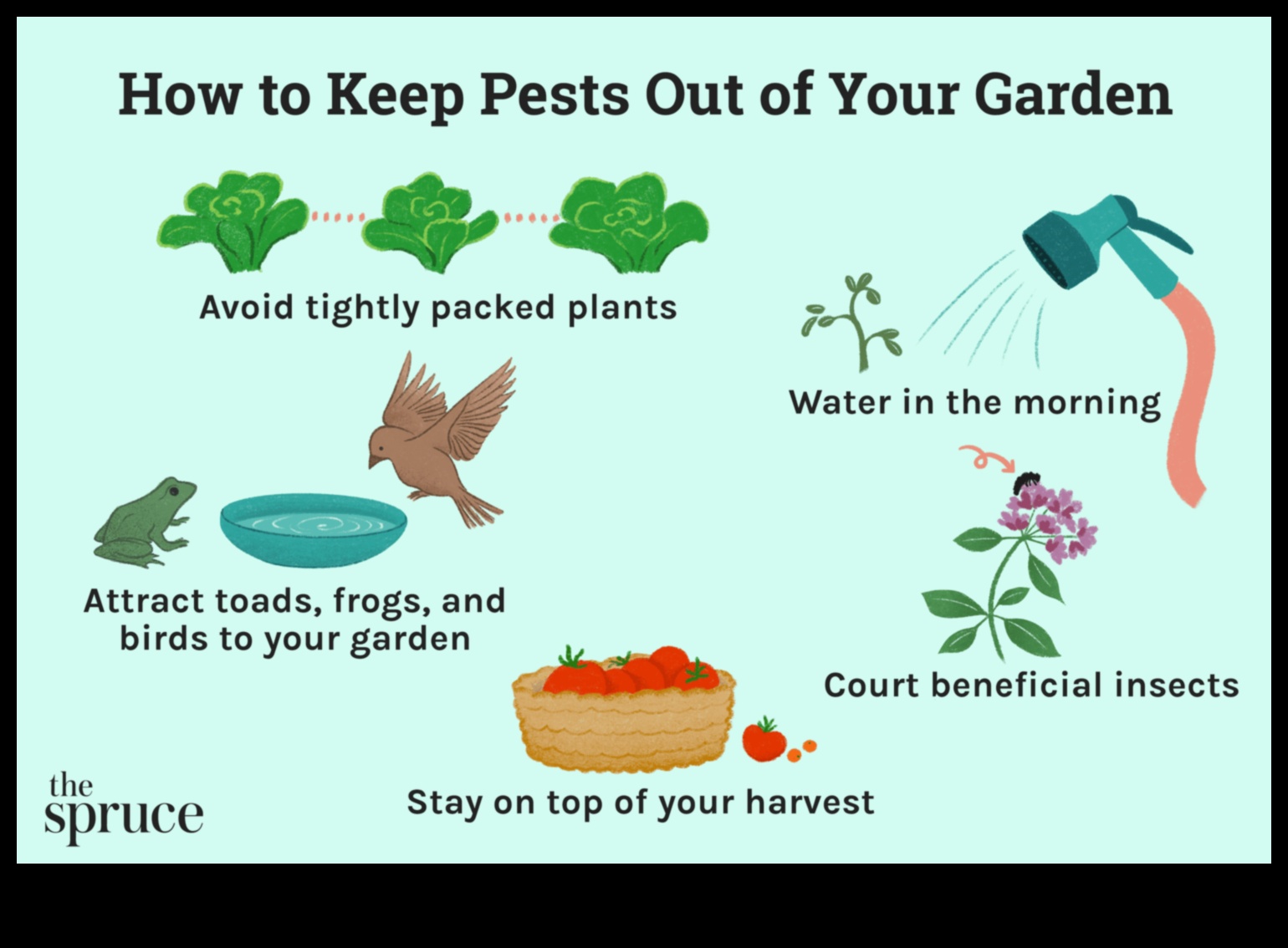 Garden Fortification: Keep Pests at Bay