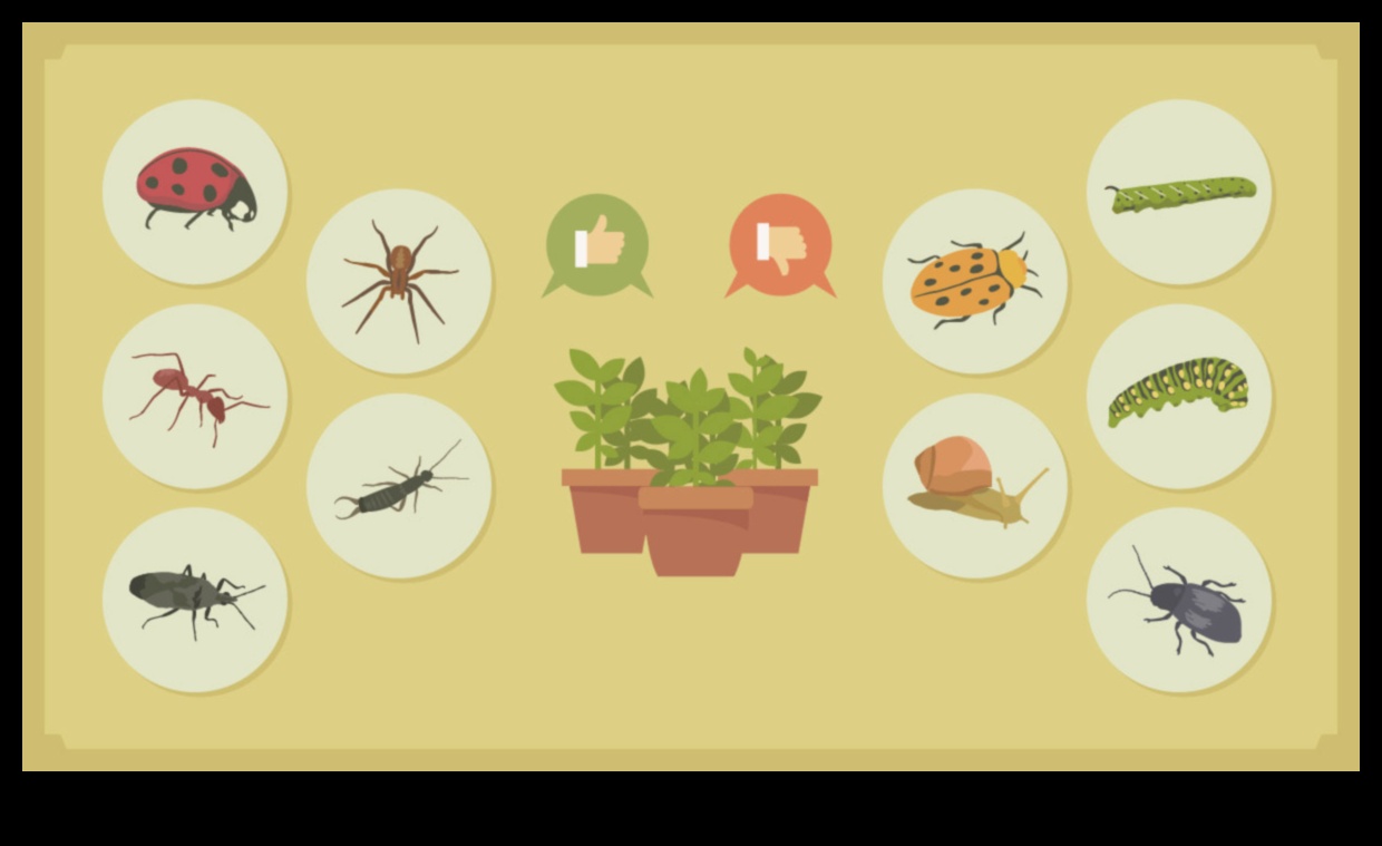 Garden Fortification: Keep Pests at Bay