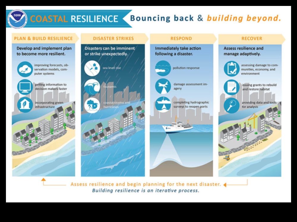 Building a Resilient Coastline 1