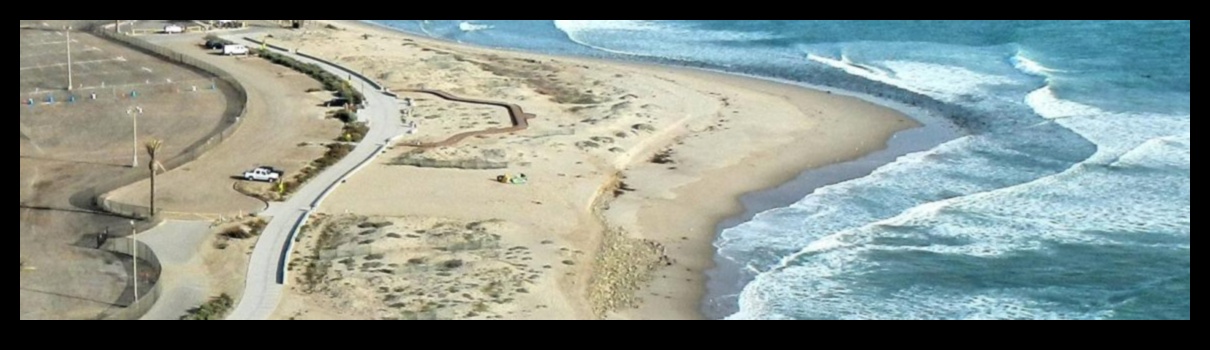 How are coastal landscapes adapting to the challenges of rising sea levels?