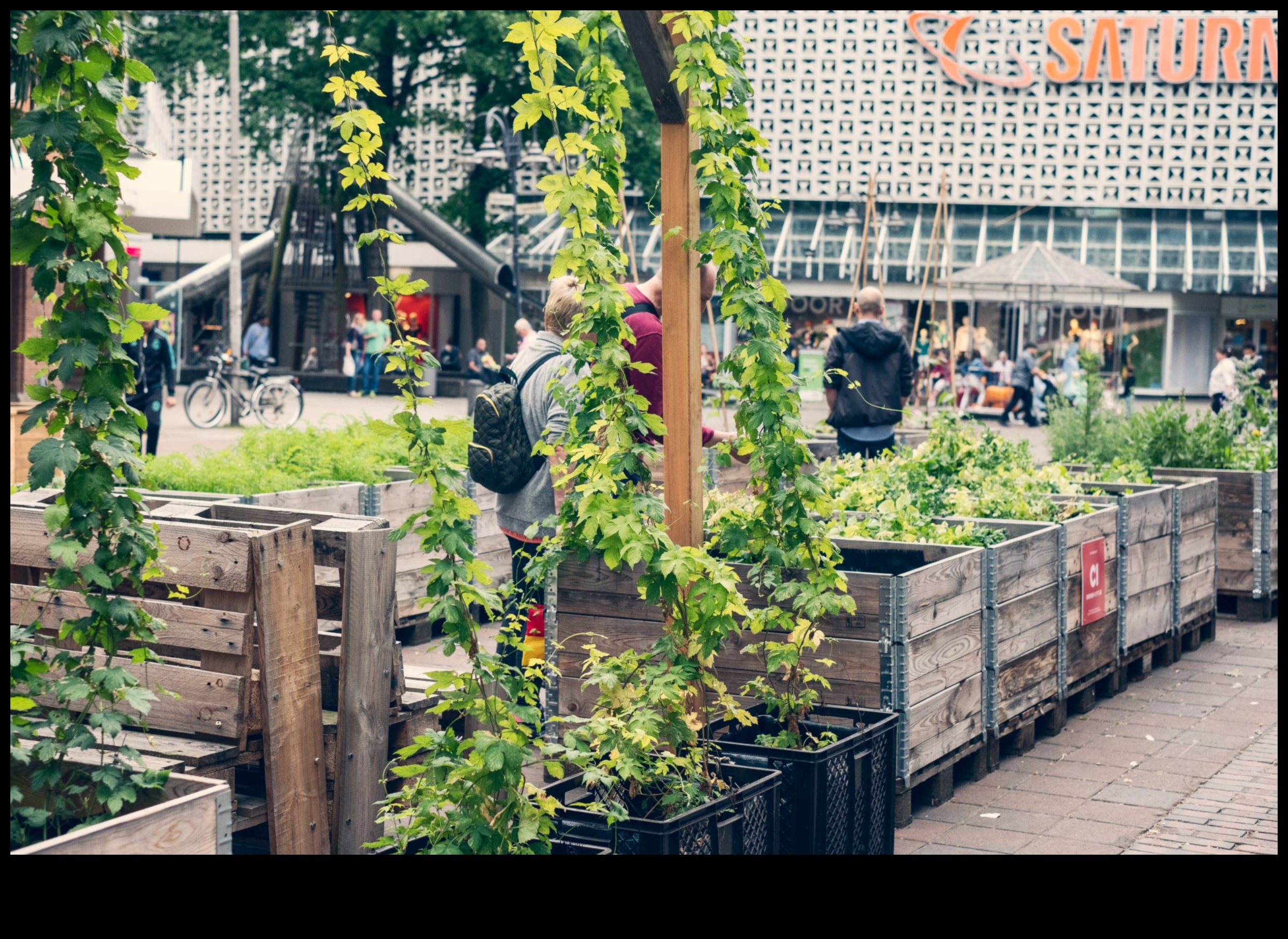 Urban Oases: Parks and Gardens Amidst the Hustle