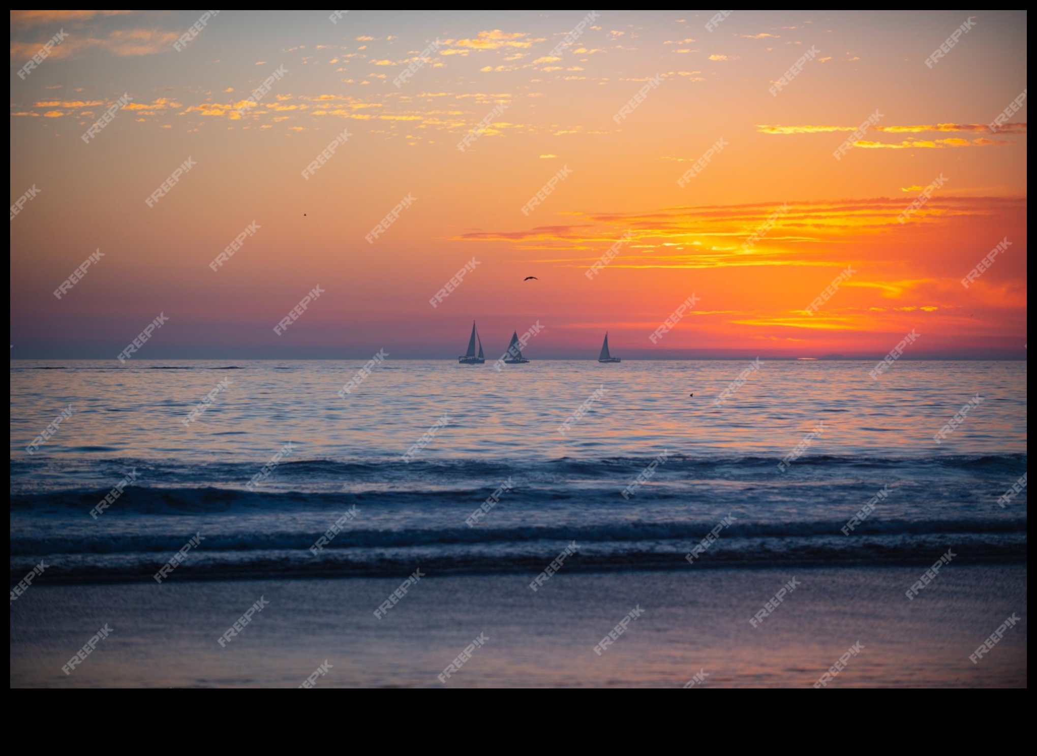 Seascape Wonders: Waves and Tides Along the Coast