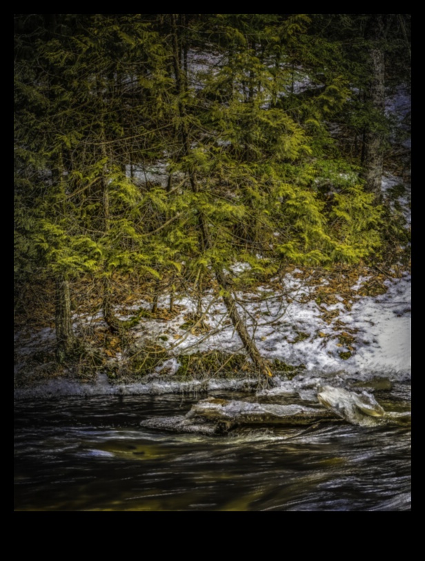 Tranquil Terrains: Calming Landscape Photography