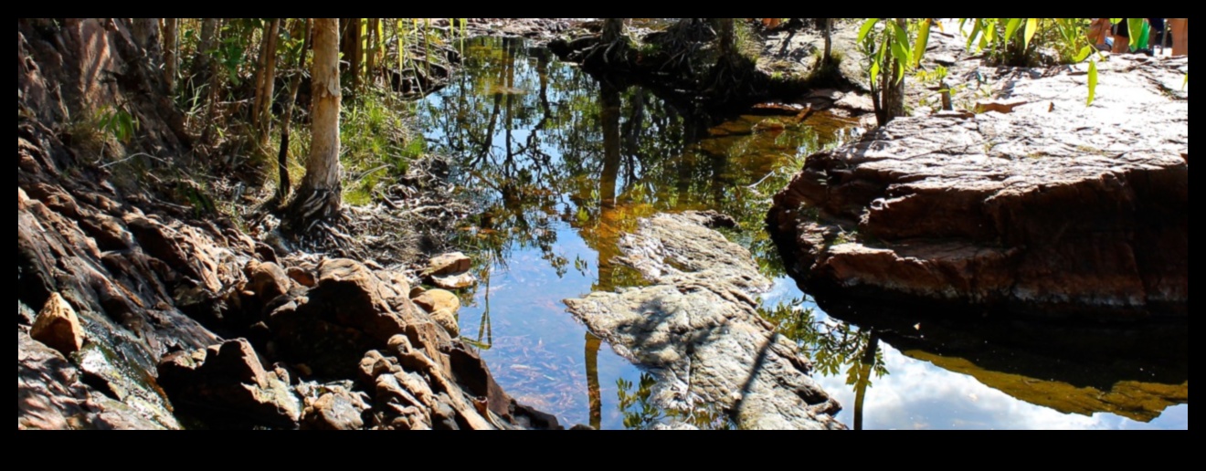 Tranquil Terrains: Calming Landscape Photography