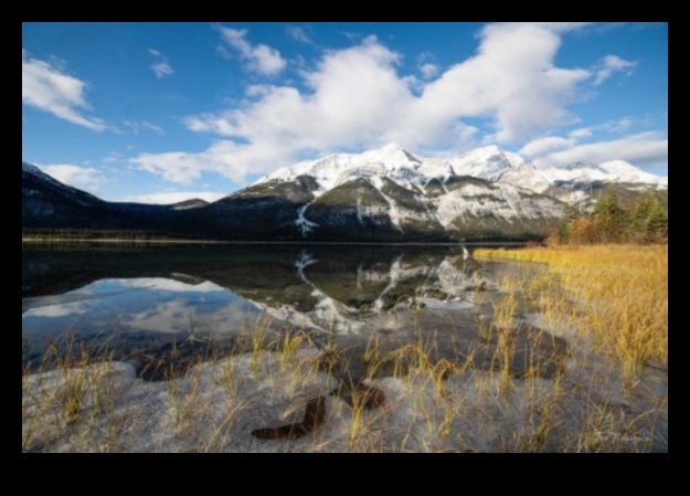 Tranquil Terrains: Calming Landscape Photography