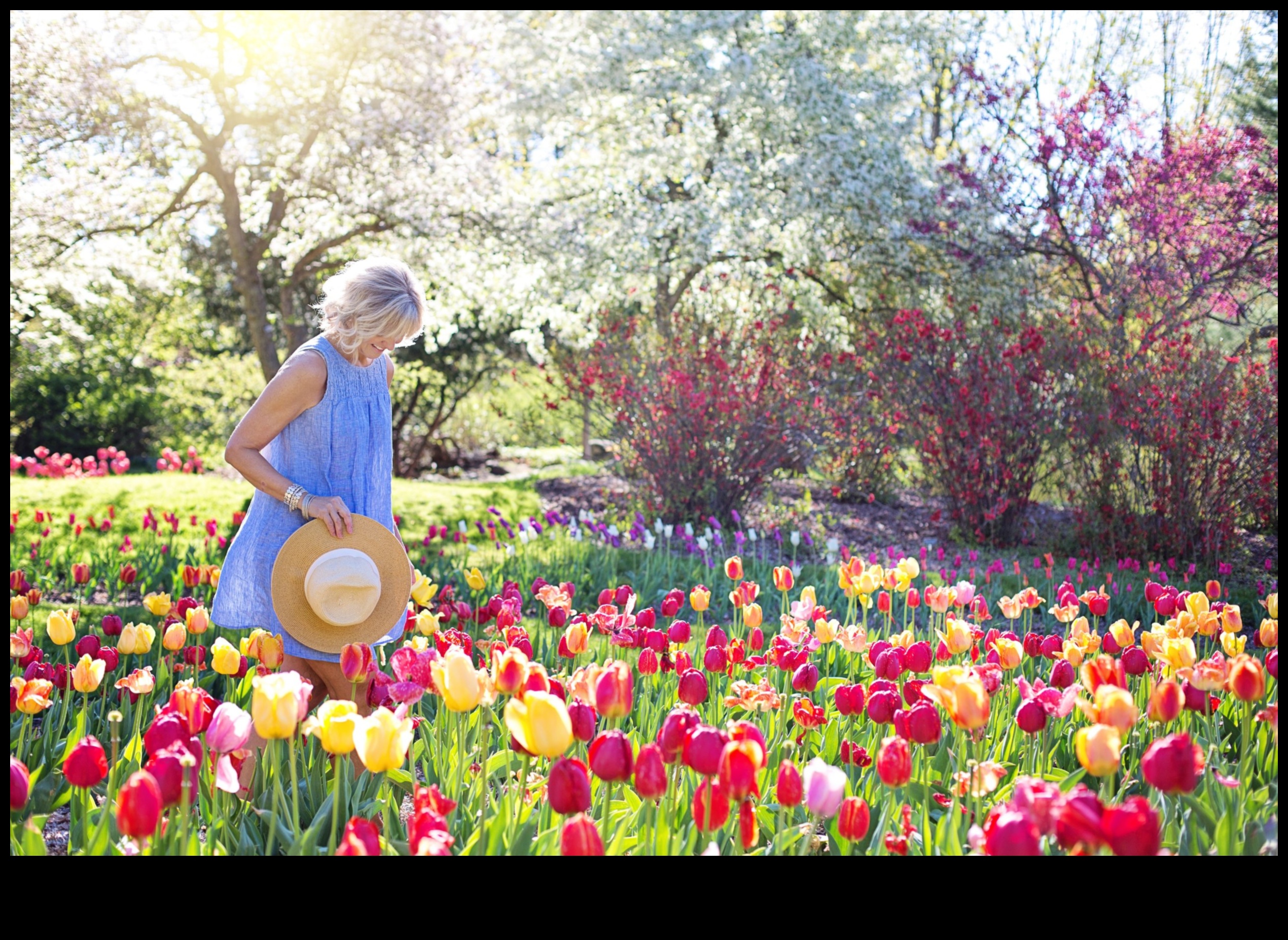 Canvas of Color: Infuse Your Garden with Artistic Flair