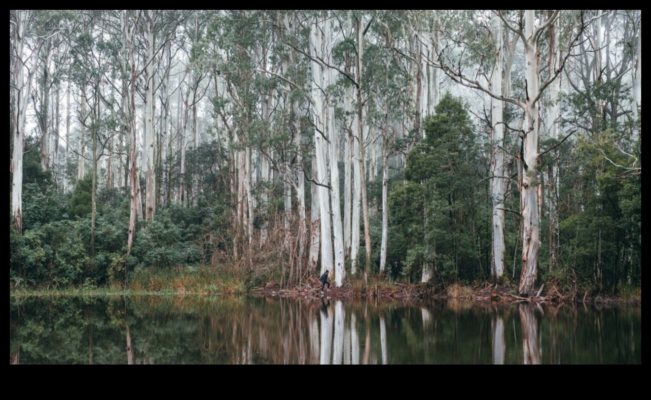 Earthy Elegance: A Collection of Sublime Landscape Photography