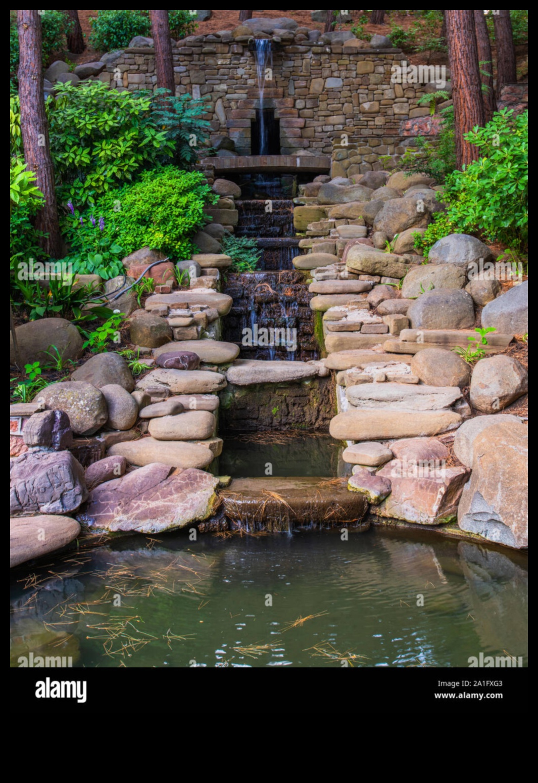 Cascading Elegance III: New Perspectives on Waterfalls and Cascades Continued