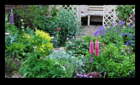 Charm in Every Blossom: Elevate Your Garden with Artful Touches