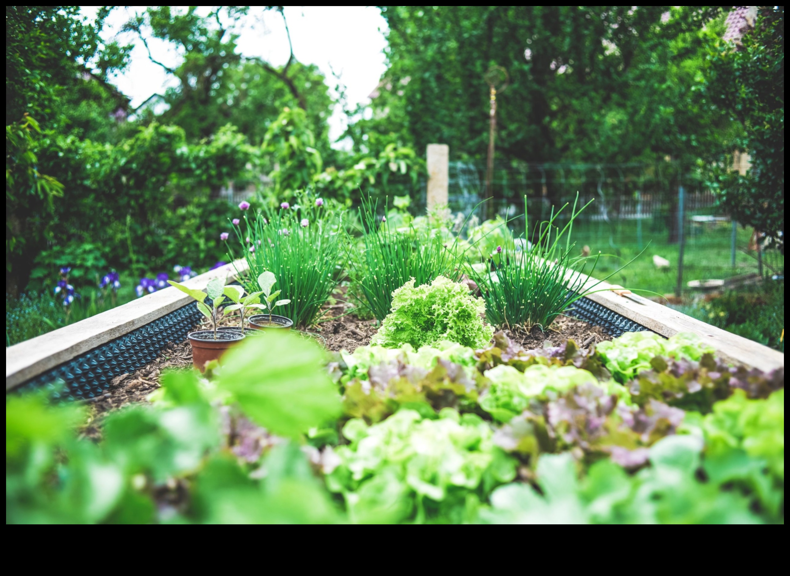 City Bloomers: Thriving with Container Gardening Delights