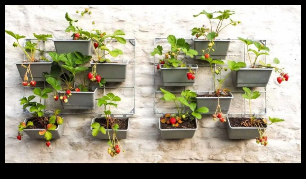 City Blooms Grow Your Own Food in Small Spaces 1