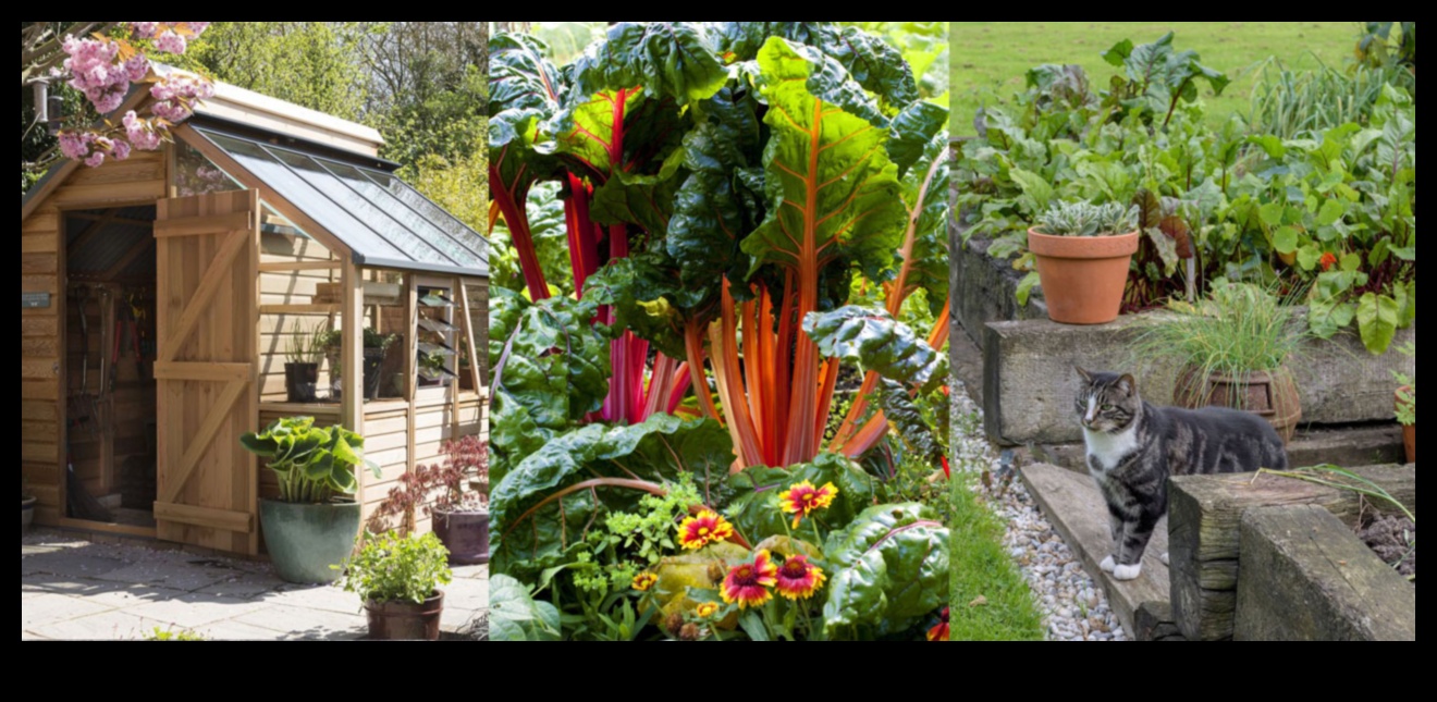 City Blooms: Urban Gardening Tips for Small Spaces