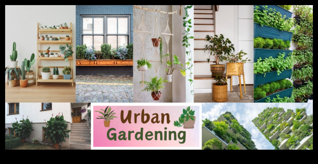 City Gardening A Guide to Nurturing Nature in Urban Spaces 2 City Gardening 101: Nurturing Nature in Urban Spaces