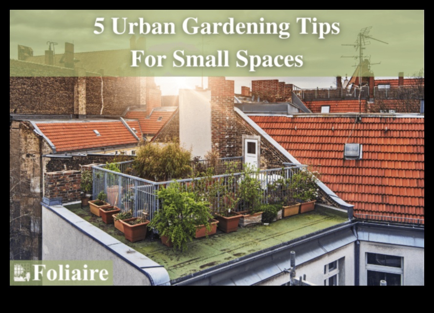 City Gardening Chic 5 Stylish Solutions for Urban Spaces 4 City Gardening Chic: Stylish Solutions for Urban Spaces