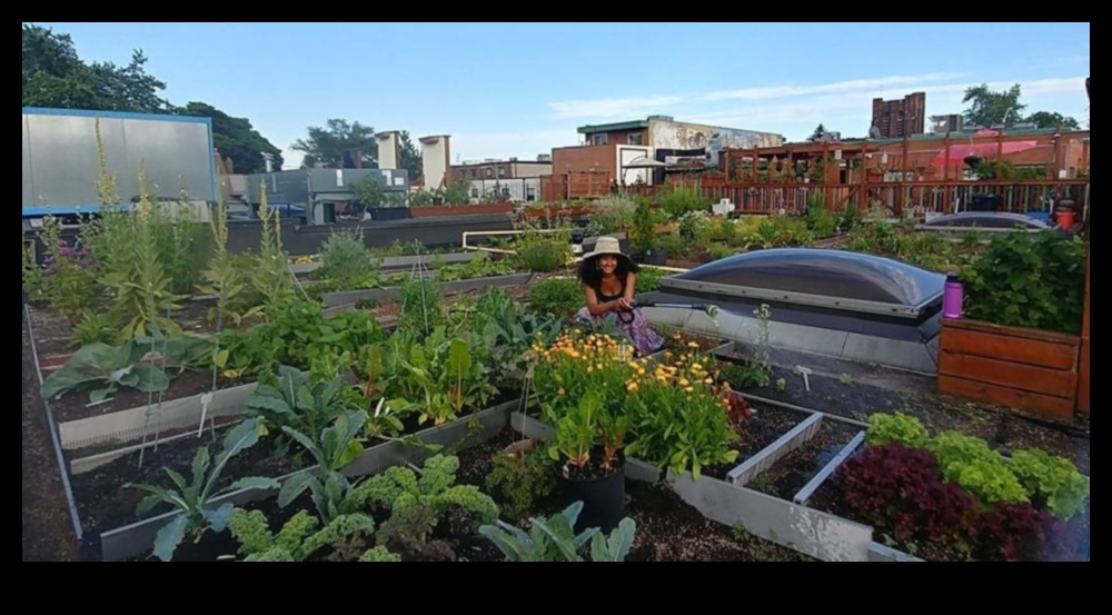 City Greens 101 Grow Your Own Food in the City 1